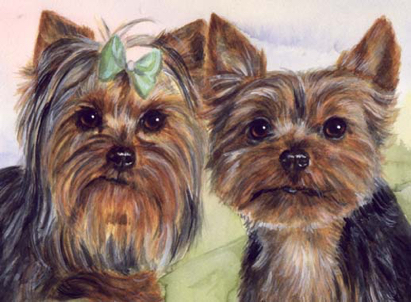 Yorkie Yorkshire Terrier Dogs Watercolor Portrait Carol Wells