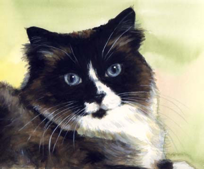 Longhaired Cat Blue Eyes Watercolor Carol Wells