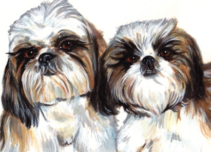 Shih Tzu Dogs Watercolor Carol Wells