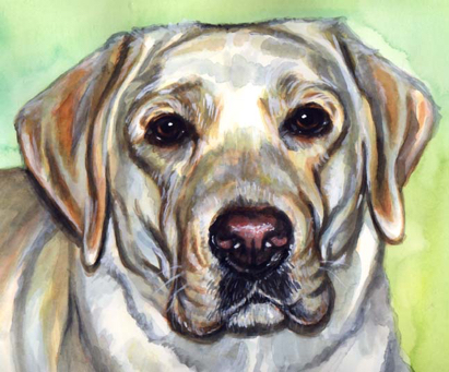 Yellow Lab Dog Painting Watercolor Carol Wells
