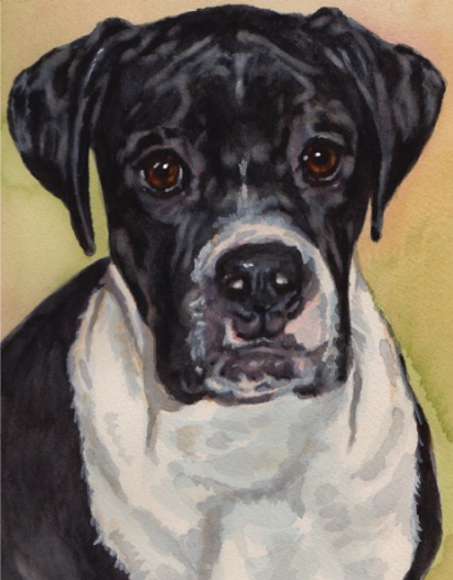 Dog Watercolor Art Carol Wells