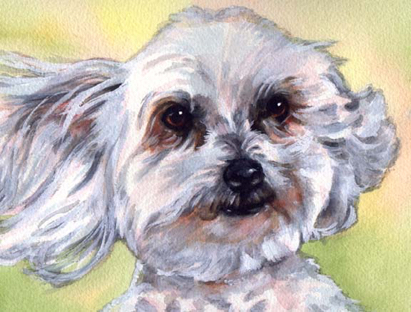 White Dog Watercolor Carol Wells