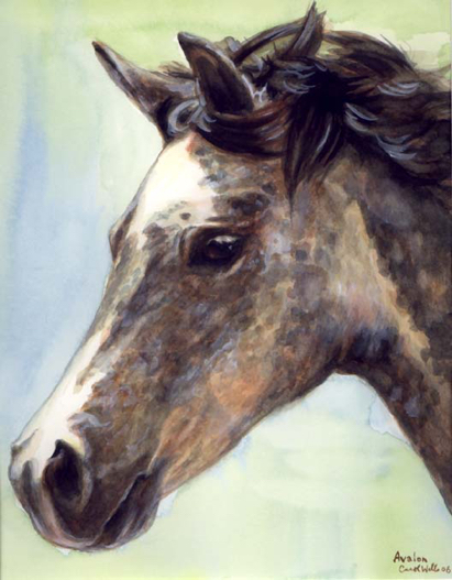 Foal Art Watercolor Carol Wells