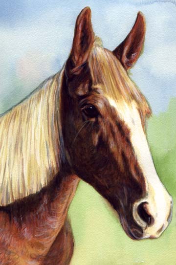 Horse Blond Mane Watercolor Carol Wells