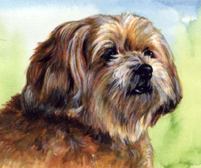 Dog Watercolor Pet Portrait Carol Wells