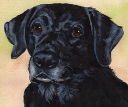 Black Lab Dog Watercolor Carol Wells