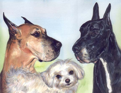 Great Dane Dogs Watercolor Carol Wells