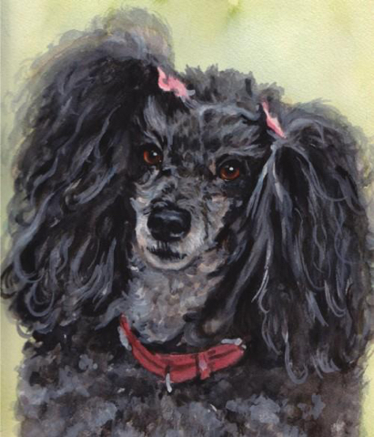 Poodle Dog Watercolor Carol Wells