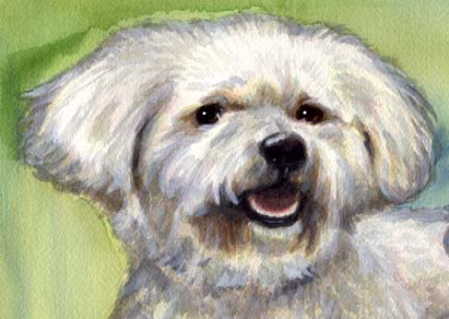 Bichon Dog Pet Watercolor Portrait Carol Wells