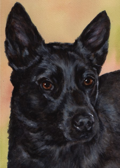 Black Dog Watercolor Carol Wells