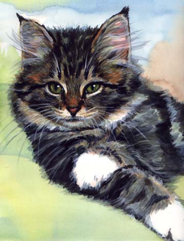 Tabby Kitten Cat Watercolor Carol Wells