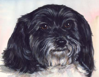 Dog Watercolor Pet Portrait Carol Wells