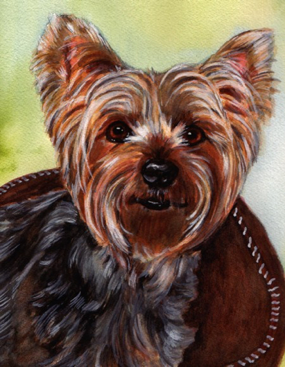 Yorkie Dog Watercolor Carol Wells
