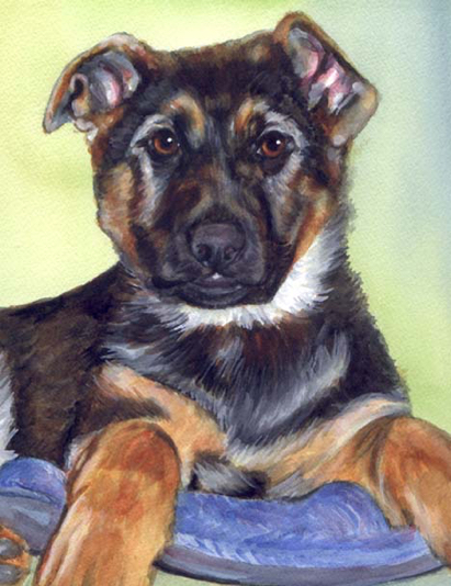 German Shepherd Puppy Watercolor Carol Wells