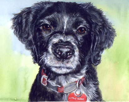Dog Watercolor Carol Wells