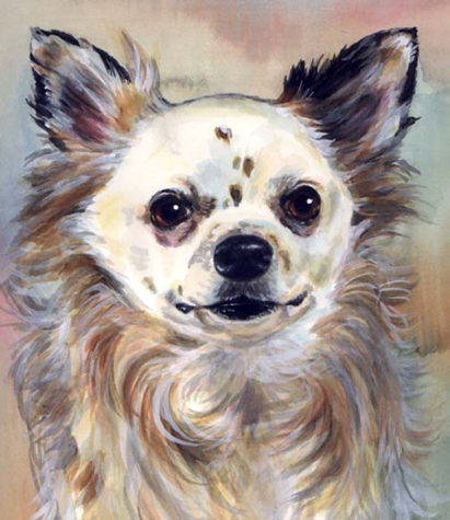 Longhaired Chihuahua Dog Watercolor Carol Wells