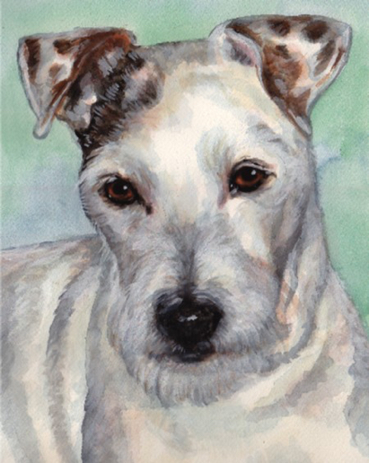 Jack Russell Terrier Dog Watercolor Carol Wells