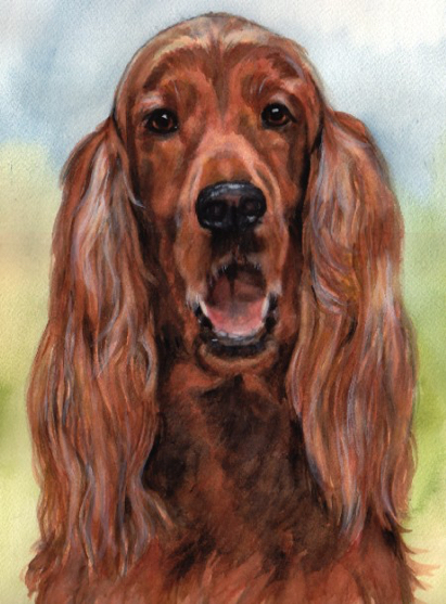 Irish Setter Dog Watercolor Carol Wells