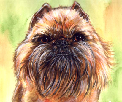 Affenpinscher Dog Watercolor Carol Wells