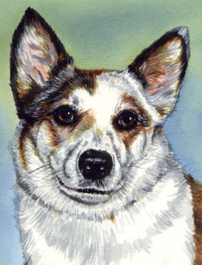 Dog Watercolor Pet Portrait Carol Wells