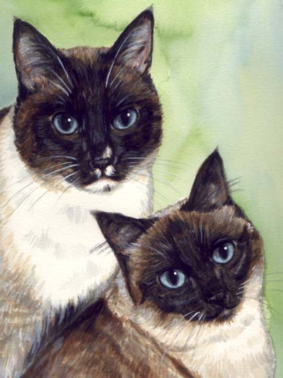 Siamese Cats Watercolor Carol Wells