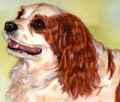 Cavalier King Charles Spaniel Dog Watercolor Carol Wells