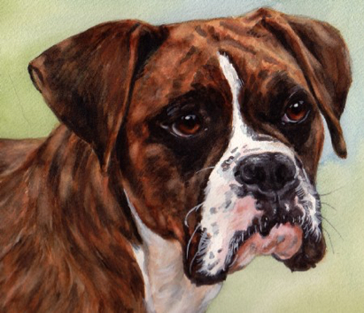 Boxer Dog Watercolor Carol Wells