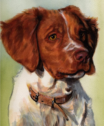Brittany Spaniel Dog Watercolor Carol Wells