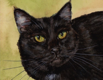 Black Cat Art Carol Wells