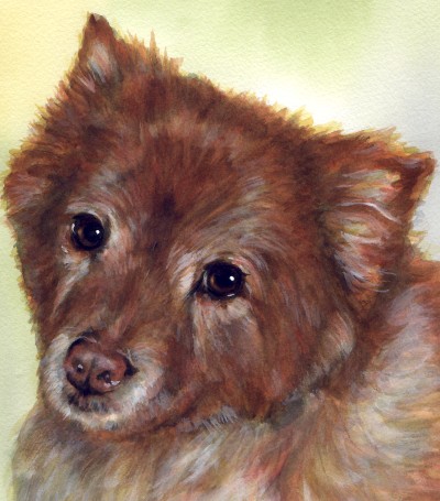 Dog Watercolor Portrait Carol Wells
