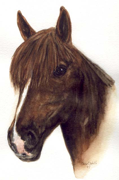 Bay Horse Watercolor by Carol Wells
