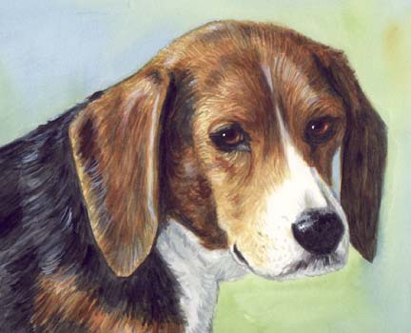 Beagle Dog Watercolor Pet Portrait Carol Wells