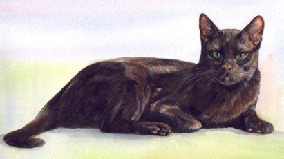 Havana Brown Cat Watercolor Carol Wells