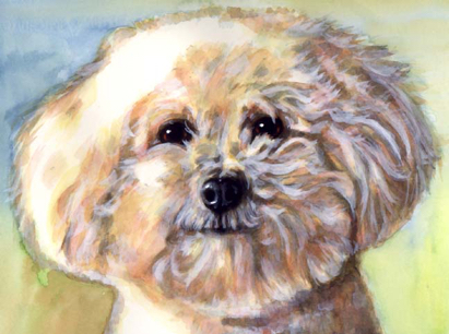 Bichon Dog Watercolor Carol Wells