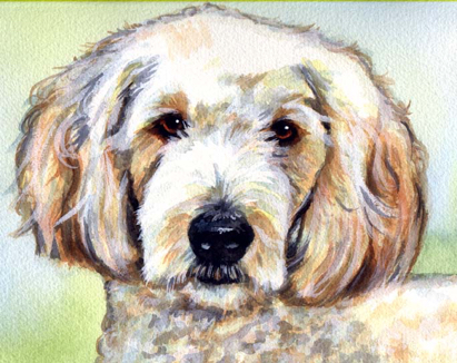 White Dog Watercolor Carol Wells