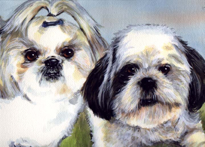 Shih Tzu Dogs Watercolor Carol Wells
