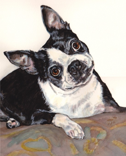 Boston Terrier Dog Watercolor Carol Wells