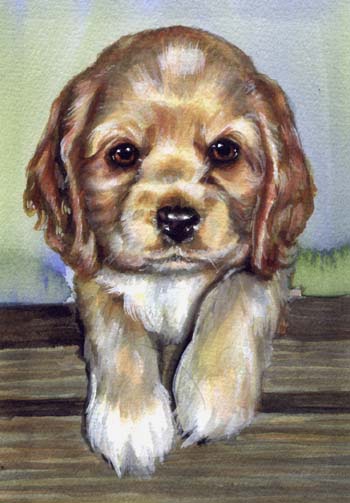 Puppy Dog Watercolor Carol Wells