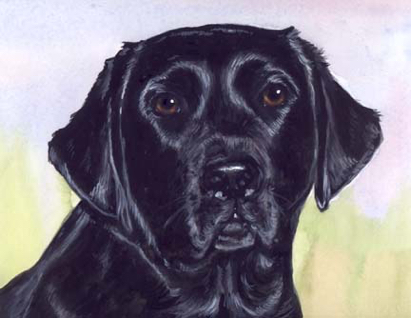 Black Lab Dog Watercolor Pet Portrait Carol Wells