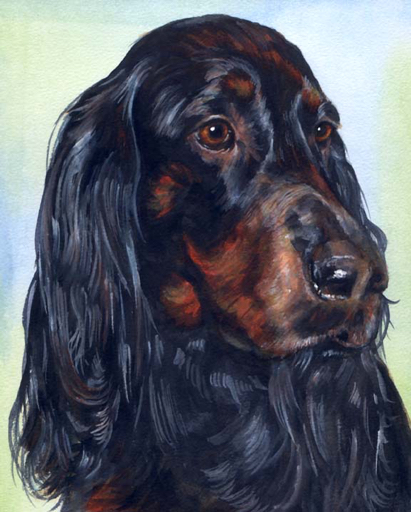 Spaniel Dog Watercolor Portrait Carol Wells