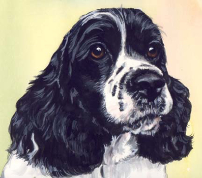 Cocker Spaniel Dog Watercolor Portrait Carol Wells