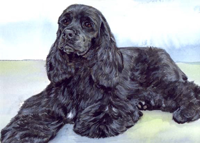 Black Cocker Spaniel Dog Watercolor Pet Portrait Carol Wells