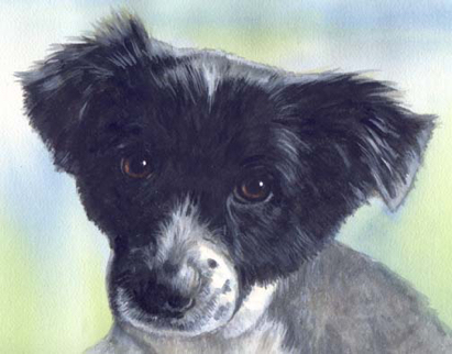 Dog Watercolor Carol Wells