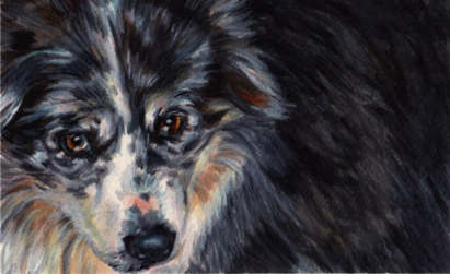 Dog Watercolor Carol Wells