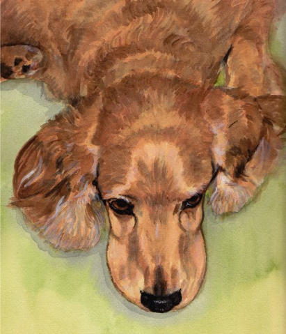 Cocker Spaniel Dog Watercolor Carol Wells