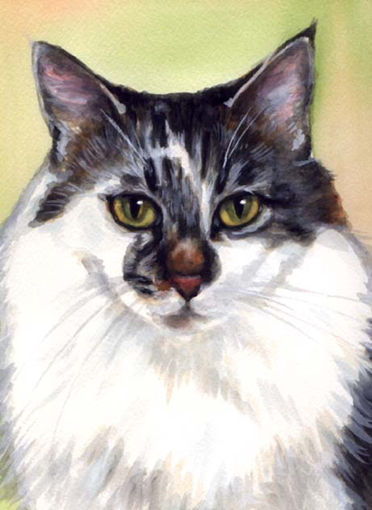 Cat Watercolor Carol Wells