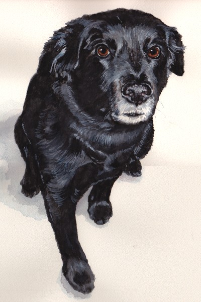Black Lab Dog Watercolor Carol Wells