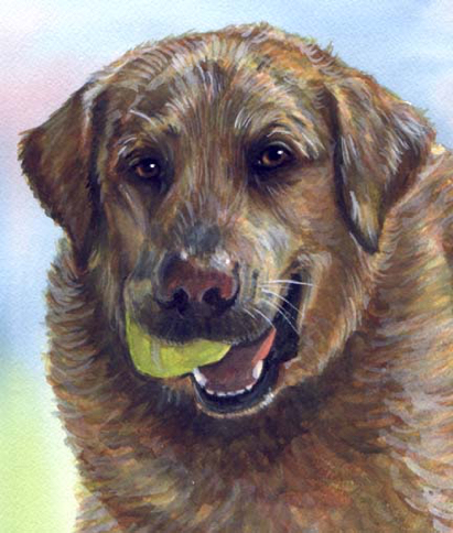 Golden Retriever tennis ball Watercolor Carol Wells