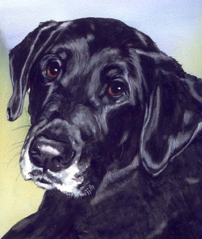 Black Dog Watercolor Pet PortraitCarol Wells
