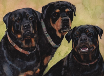 Rottweiler Dogs Watercolor Carol Wells
